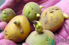 土豆發(fā)芽了還能吃嗎？發(fā)芽的土豆吃了會(huì)怎么樣？