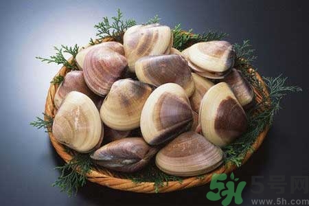 花蛤怎么洗？生取蛤肉的方法有哪些？