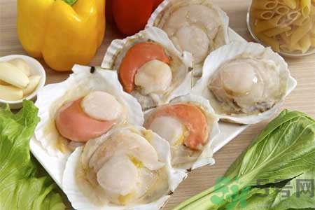 如何挑選扇貝？活扇貝怎么保存？