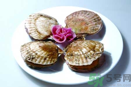 如何挑選扇貝？活扇貝怎么保存？