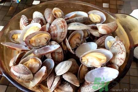 蛤蜊的食用方法有哪些？蛤蜊的營養(yǎng)價(jià)值是什么？
