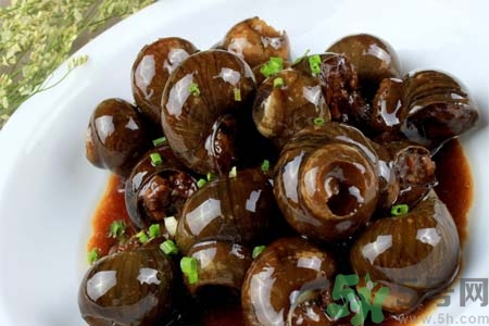 田螺肉怎樣做？田螺的營養(yǎng)價(jià)值有哪些？