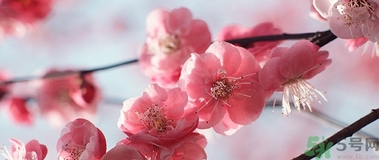 歐舒丹是什么牌子？歐舒丹是什么檔次的牌子？