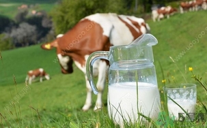 15歲男孩腰疼怎么回事？15歲男孩腰疼怎么辦？