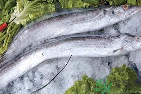 凍帶魚怎么解凍？帶魚內(nèi)臟怎么洗？