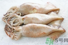 魷魚怎么處理？干魷魚怎么泡發(fā)？