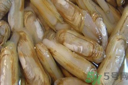 蟶子怎么洗？新鮮蟶子怎么挑選？