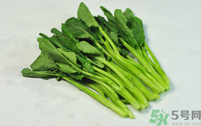孕婦可以吃芥藍嗎?芥藍的功效與作用 孕婦可以吃芥藍嗎?芥藍的功效與作用
