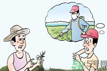 怎么洗掉水果上的農(nóng)藥？農(nóng)藥殘留的危害有哪些？