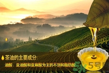 茶油是什么？茶油怎么吃？