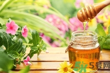 蜂蜜不能和什么一起吃？哪些人不能吃蜂蜜？