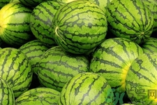 西瓜牛奶可以一起吃嗎？西瓜牛奶怎么做好吃？