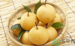 娃娃梨是怎么種出來的？娃娃梨為什么外形像娃娃？