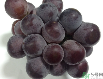 孕婦可以吃巨峰葡萄嗎？孕婦吃葡萄好嗎？