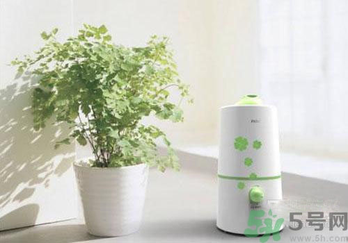 用加濕器好不好？用加濕器有什么危害？