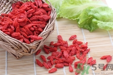 枸杞子泡酒怎么泡？枸杞酒的制作方法是什么？