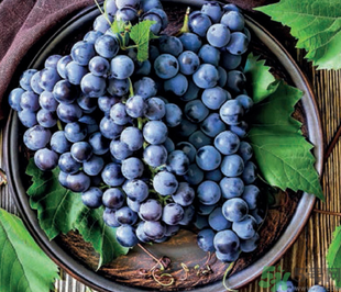 巨峰葡萄怎么挑？巨峰葡萄怎么洗？