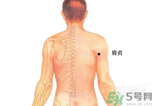 肩周炎艾灸有用嗎？肩周炎艾灸哪些部位？