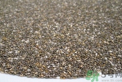 奇亞籽是不是蘭香子?奇亞籽和蘭香子的區(qū)別