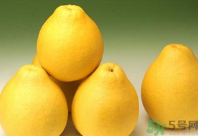 柚子什么時(shí)候上市？柚子什么時(shí)候成熟？
