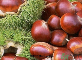 生板栗怎么保存？?板栗如何保存能放更久