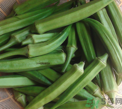 黃秋葵可以生吃嗎？黃秋葵的吃法