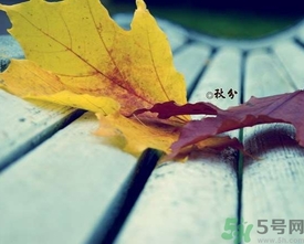 秋分是什么意思？秋分是幾月幾日