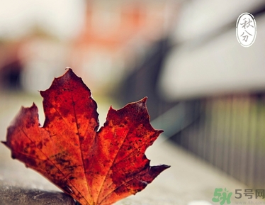 秋分還熱嗎？秋分注意事項