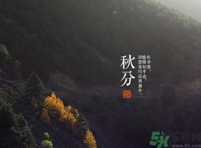 秋分吃什么？秋分吃什么水果？