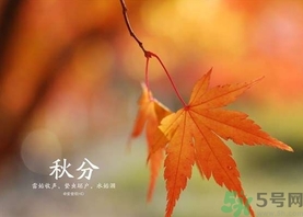 秋分吃什么？秋分吃什么水果？