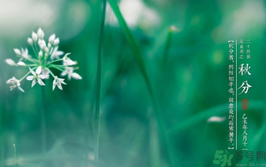 秋分喝什么茶？秋分養(yǎng)生茶飲推薦