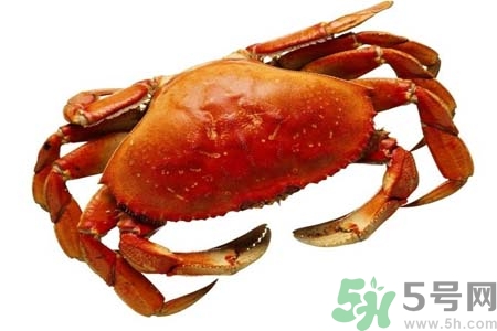 大閘蟹是發(fā)物嗎？哪些人不宜吃大閘蟹？