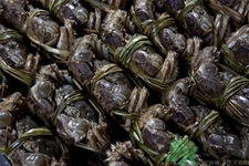 大閘蟹是發(fā)物嗎？哪些人不宜吃大閘蟹？