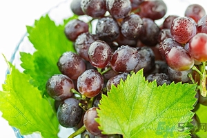 蘋果和提子可以同吃嗎？蘋果和提子可以榨汁嗎？