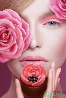 哈根達斯玫瑰傳奇月餅好吃嗎？哈根達斯玫瑰傳奇月餅多少錢？