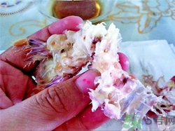 皮皮蝦怎么剝皮?皮皮蝦怎么剝開?