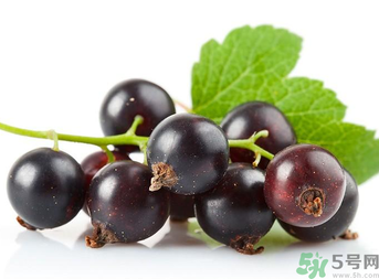 孕婦能吃黑加侖嗎？孕婦吃黑加侖好嗎？