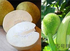 面包果怎么吃？面包果的功效