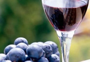 自釀葡萄酒有毒嗎？自釀葡萄酒的危害