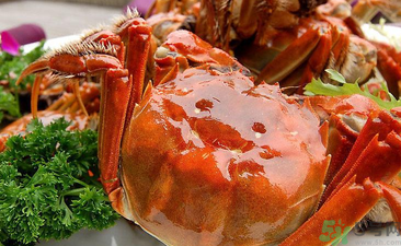 九月份吃公蟹還是母蟹？公蟹和母蟹哪個更好吃？