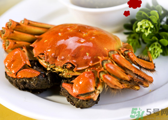 九月份吃公蟹還是母蟹？公蟹和母蟹哪個更好吃？