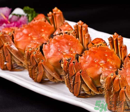 九月份吃什么螃蟹？哪些螃蟹不能吃？