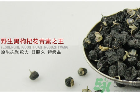 如何鑒別真假黑枸杞？黑枸杞價格多少？