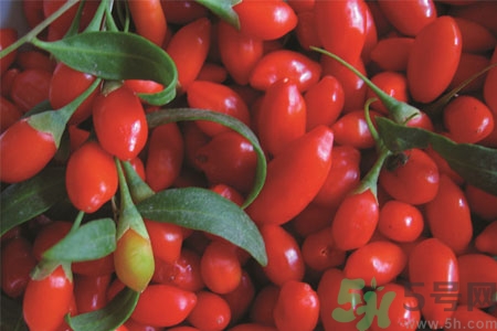 枸杞子泡水需注意什么？枸杞子泡水哪些人可以喝？