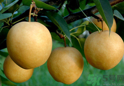 喉嚨痛可以吃月餅嗎？喉嚨痛吃什么好？