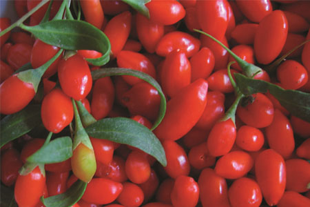 枸杞泡酒的配方是什么？枸杞泡酒需注意什么？