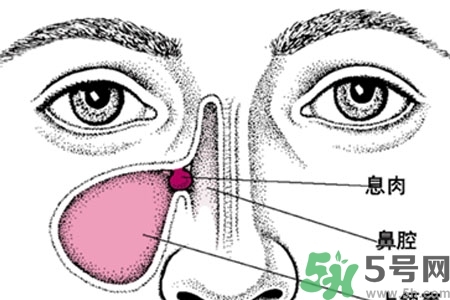 鼻子不通氣是怎么回事？鼻子不通氣怎么辦？
