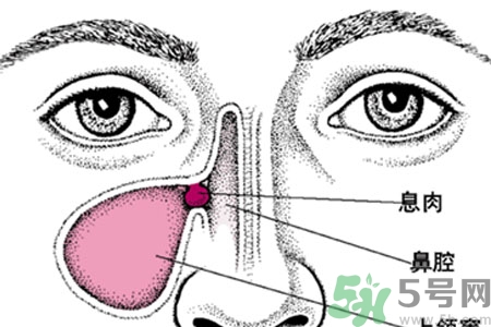 鼻子出血怎么辦？鼻子出血的原因是什么？