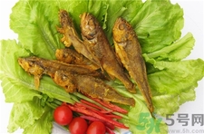 小黃魚(yú)的營(yíng)養(yǎng)價(jià)值 小黃魚(yú)的功效與作用