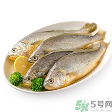 小黃魚(yú)的營(yíng)養(yǎng)價(jià)值 小黃魚(yú)的功效與作用